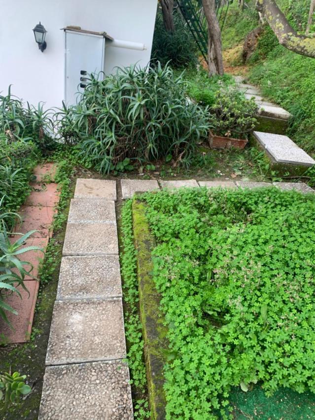 ماسّا لوبْرينسِ Villa Panorama المظهر الخارجي الصورة